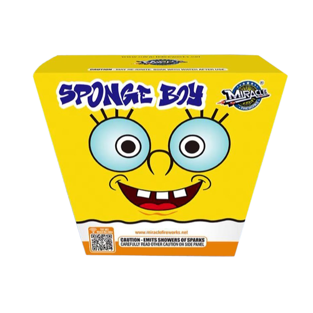 Sponge Boy