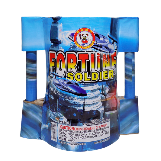 Fortune Solider