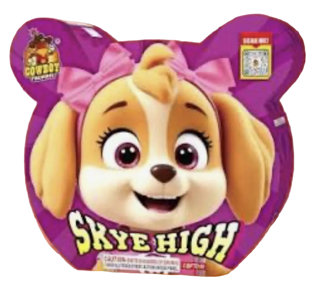 Skye High